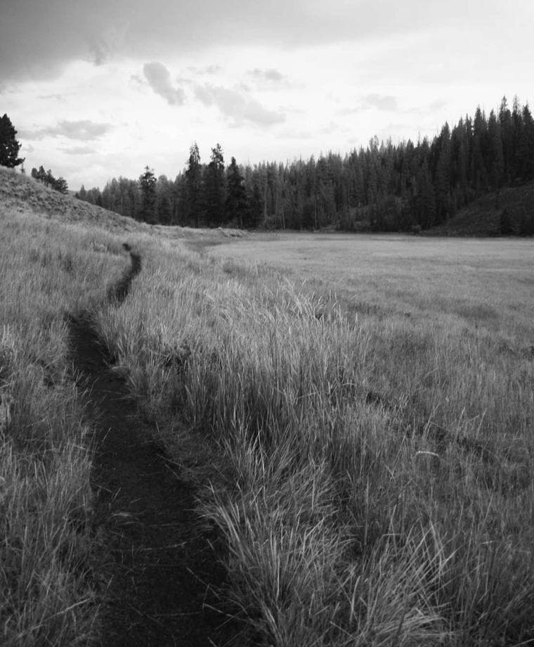 An unmarked grass trail cutting through a wide meadow